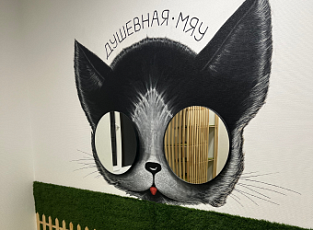 Кото-студия «ДушевнаяМяу»